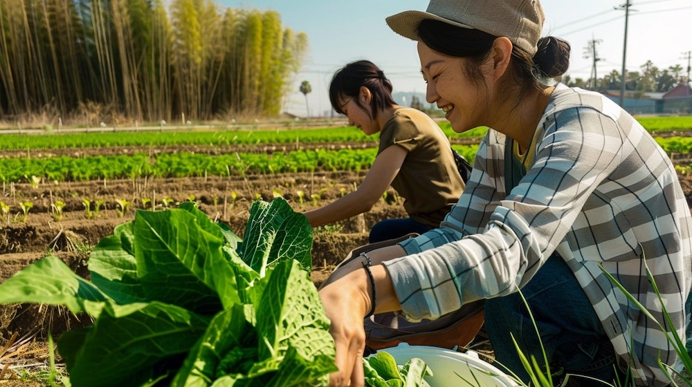 生産者の声に耳を傾けて：食材への愛と情熱が育む、本物の味